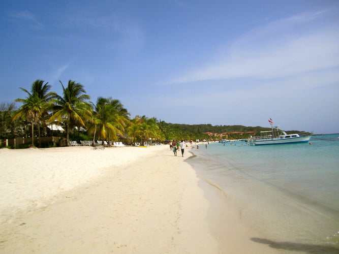 Deserted Islands & Jungle Romance